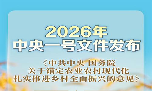 <b>2026中央一号文件发布 数字赋能重塑乡村安防新格局</b>